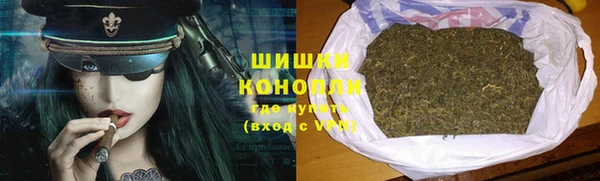 ГАЛЛЮЦИНОГЕННЫЕ ГРИБЫ Белокуриха