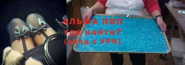 PSILOCYBIN Бородино