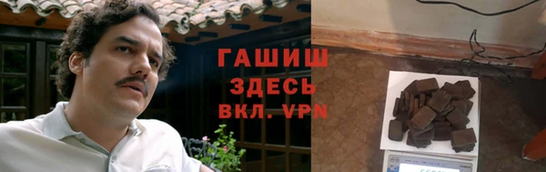 PSILOCYBIN Бородино