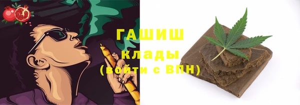 PSILOCYBIN Бородино