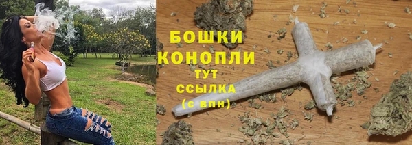 ГАЛЛЮЦИНОГЕННЫЕ ГРИБЫ Белокуриха