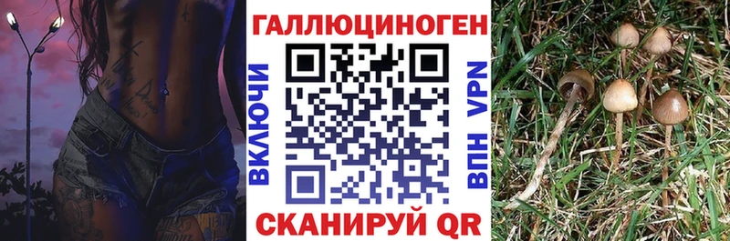 Галлюциногенные грибы GOLDEN TEACHER  Горняк 